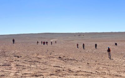 Estudio de distribución de golondrinas de mar en el Proyecto Cachorro: ciencia para una evaluación ambiental responsable
