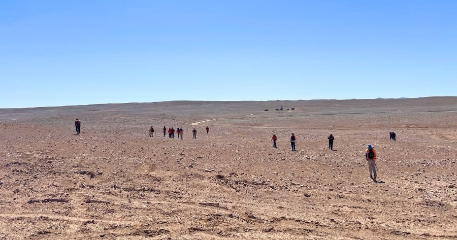 Estudio de distribución de golondrinas de mar en el Proyecto Cachorro: ciencia para una evaluación ambiental responsable