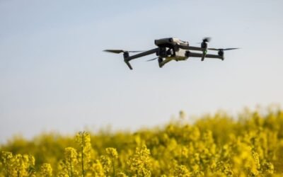 NDVI: un indicador clave para evaluar la salud de la vegetación
