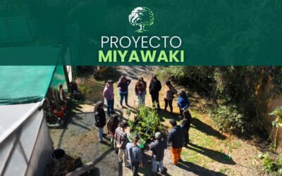 Proyecto Miyawaki: Aquí germina una nueva iniciativa verde en Ecorestaura