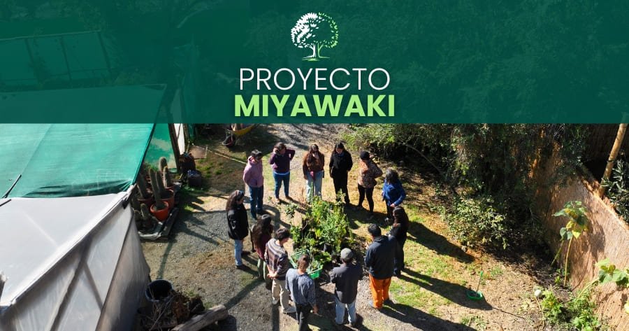 Proyecto Miyawaki: Aquí germina una nueva iniciativa verde en Ecorestaura