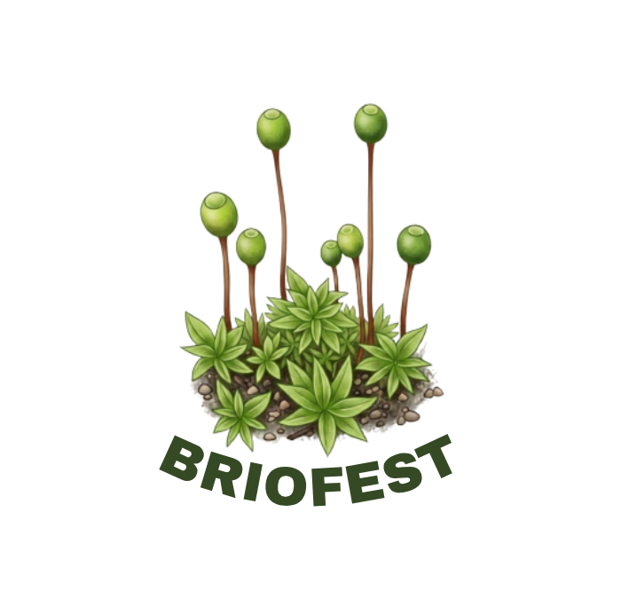 Briofest: el festival que busca acercar a la comunidad al fascinante mundo de las briófitas